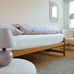 Luxury With Terrace And Garden Free Parking Smart Tv Etc * St. Gallen