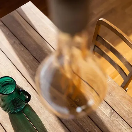 Luxury With Terrace And Garden Free Parking Smart Tv Etc Apartman St. Gallen