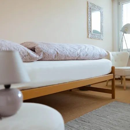 Luxury With Terrace And Garden Free Parking Smart Tv Etc * Sankt Gallen