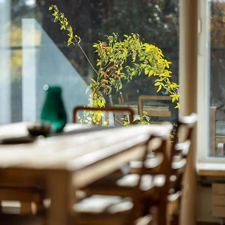 Beautiful Luxury With Terrace, Large Garden, Parking Space And Smart Tv Apartment