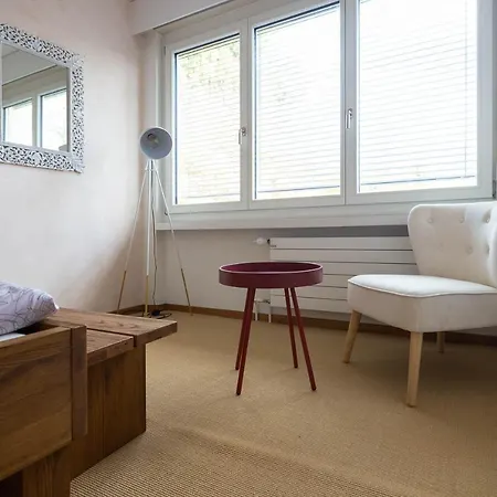 Luxury With Terrace And Garden Free Parking Smart Tv Etc * St. Gallen