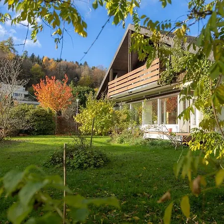 Beautiful Luxury With Terrace, Large Garden, Parking Space And Smart Tv * St. Gallen