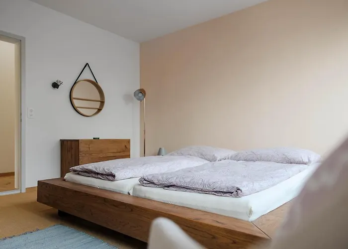 Luxury With Terrace And Garden Free Parking Smart Tv Etc * St. Gallen