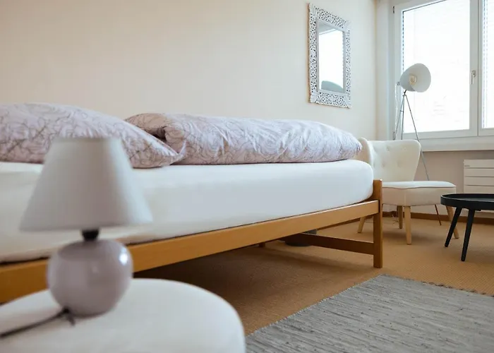 Luxury With Terrace And Garden Free Parking Smart Tv Etc * St. Gallen