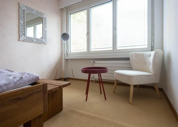 Luxury With Terrace And Garden Free Parking Smart Tv Etc * St. Gallen