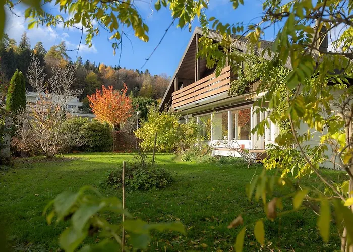 Luxury With Terrace And Garden Free Parking Smart Tv Etc * St. Gallen