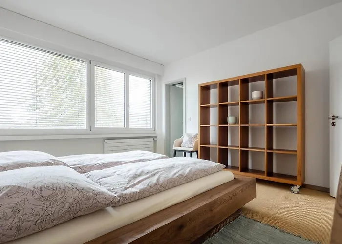 Apartment Luxury With Terrace And Garden Free Parking Smart Tv Etc St. Gallen